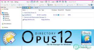 Directory Opus Pro 13.23.9 Free Download for Windows