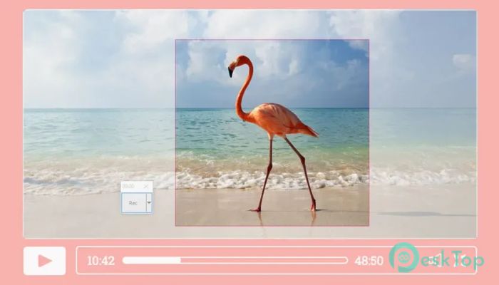Download RecButton 1.0 for Windows