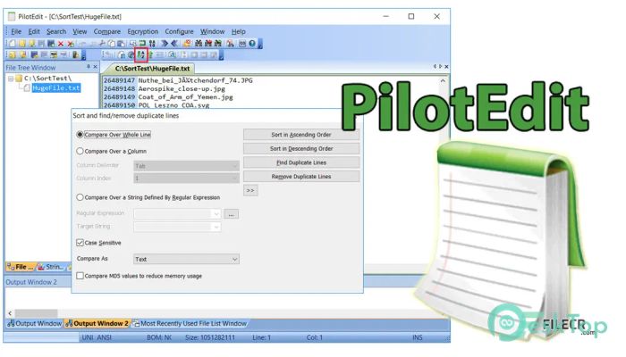 Download PilotEdit Pro 21.0.0 for Windows