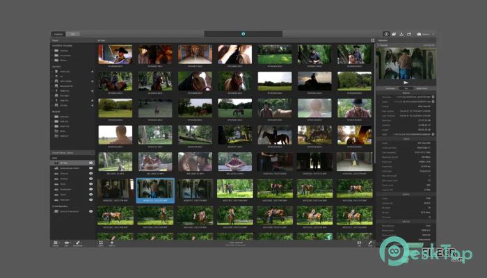 Sony Catalyst Production Suite 2026.1.1 Free Download for Windows