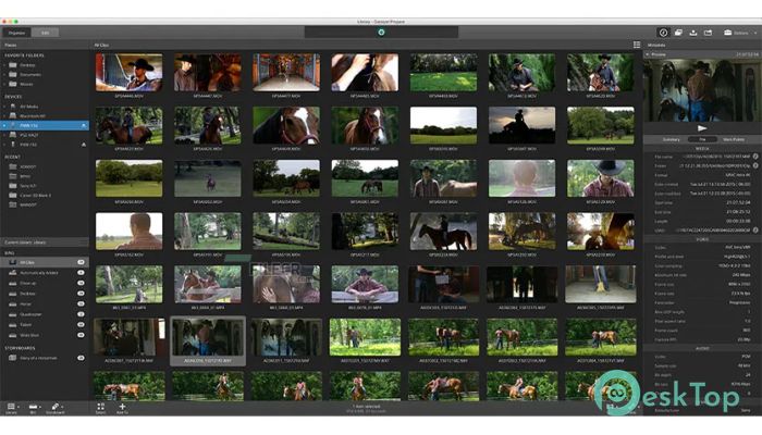 Sony Catalyst Prepare Suite 2026.1.1 Free Download for Windows